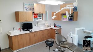 agencement pour particuliers et professionnels cabinet dentaire plumeliau